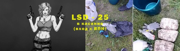 ешки Вяземский