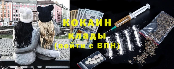 ешки Вяземский